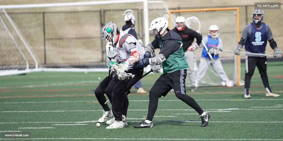 为什么选择我们